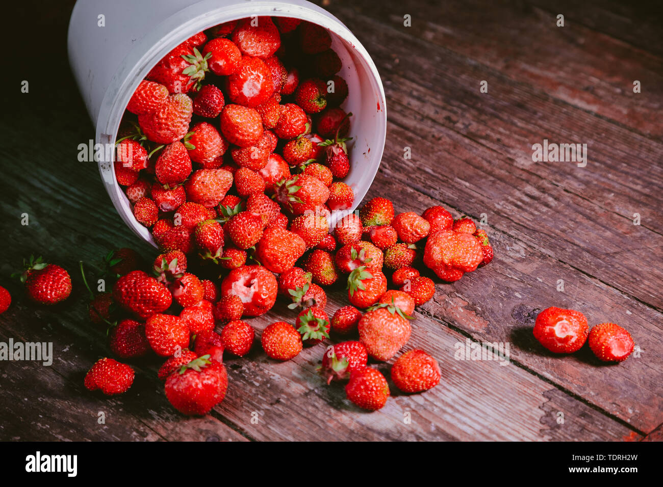 sprinkled natural and fresh strawberry from a white bucket Stock Photo ...