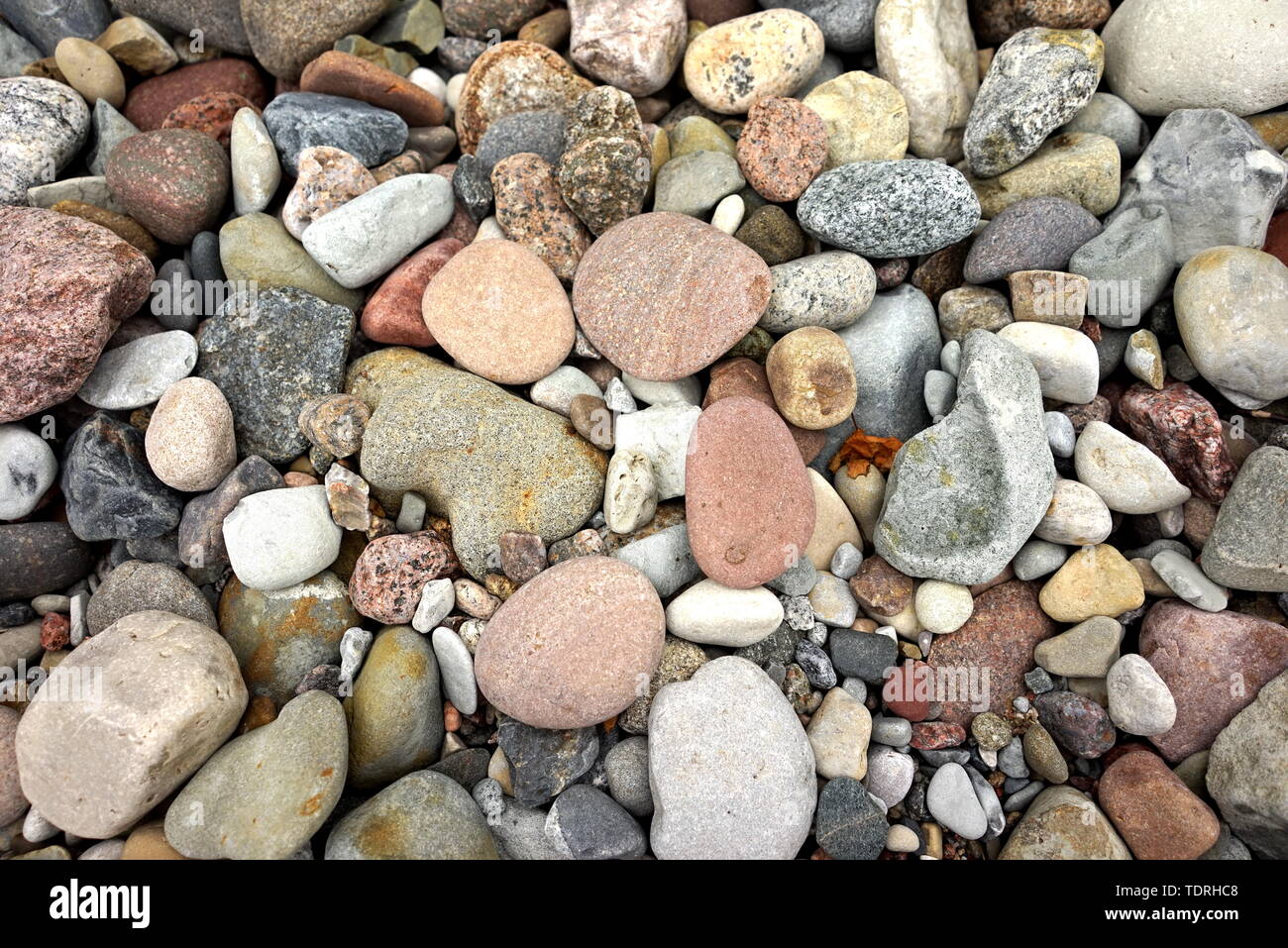 Decorative Round Stones Abstract Smooth Round Pebbles On A Beach