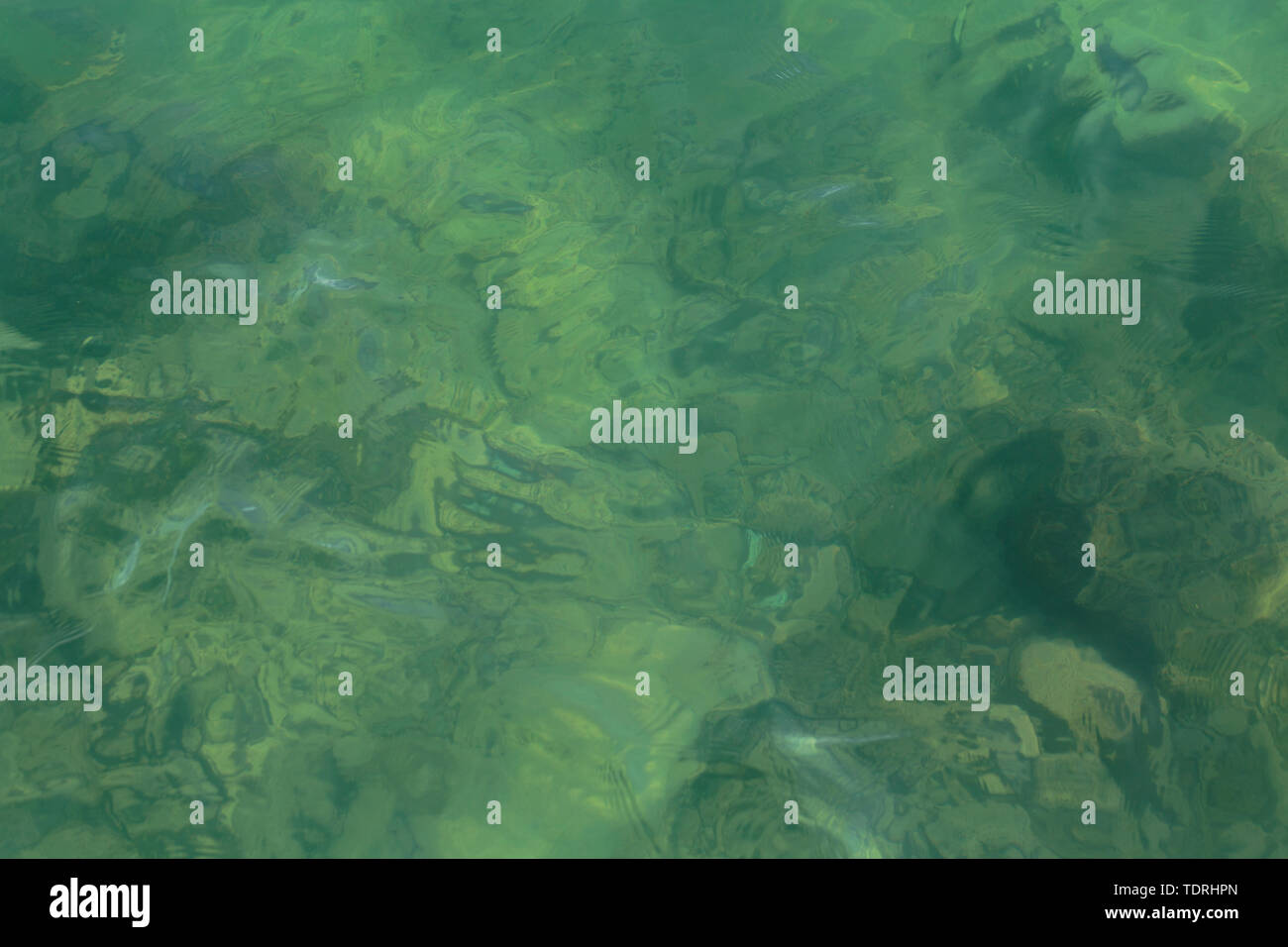 water on a background of green silt Stock Photo