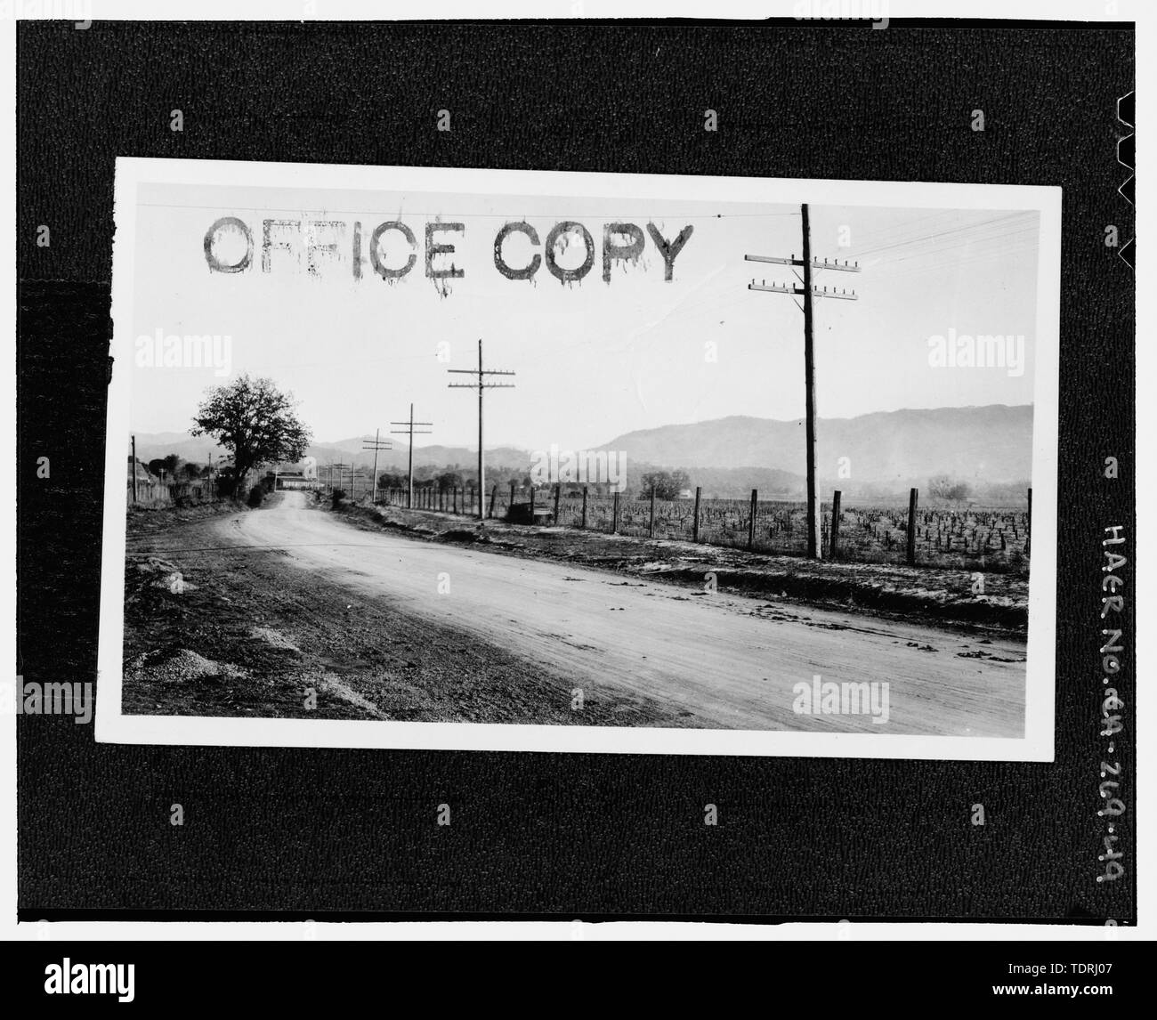 Photographer unknown MENDOCINO COUNTY, PROBABLY SECTION D, HIGHWAY 1. NO CAPTION. Stamped office copy. - Redwood National and State Parks Roads, California coast from Crescent City to Trinidad, Crescent City, Del Norte County, CA Stock Photo