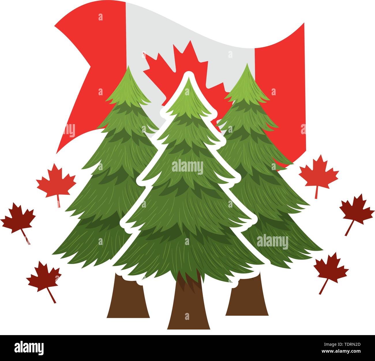 Pine tree and canada symbol design Stock Vector Image & Art - Alamy