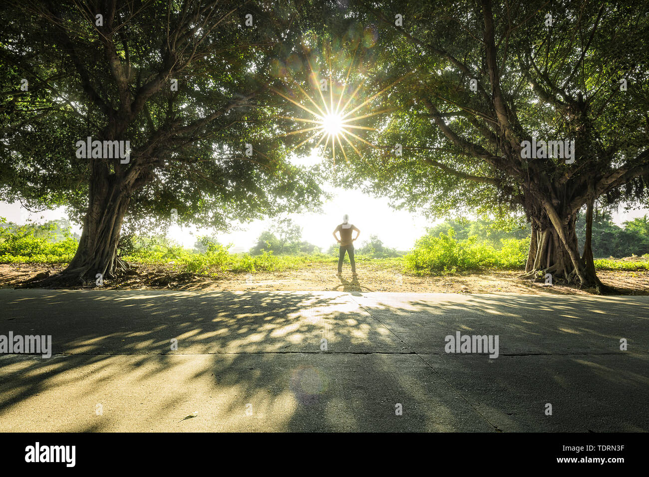 No one with backlight hi-res stock photography and images - Alamy