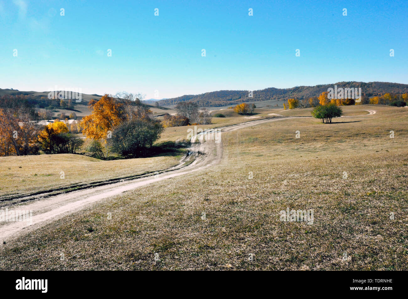 Prairie winding path Stock Photo