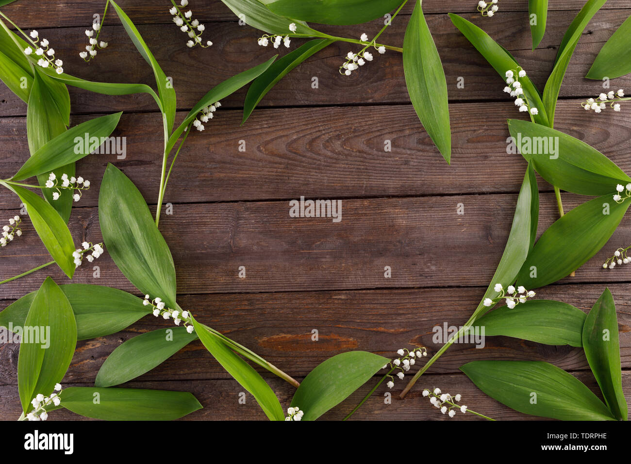The decor of the flowers of lily of the valley on the background of ...