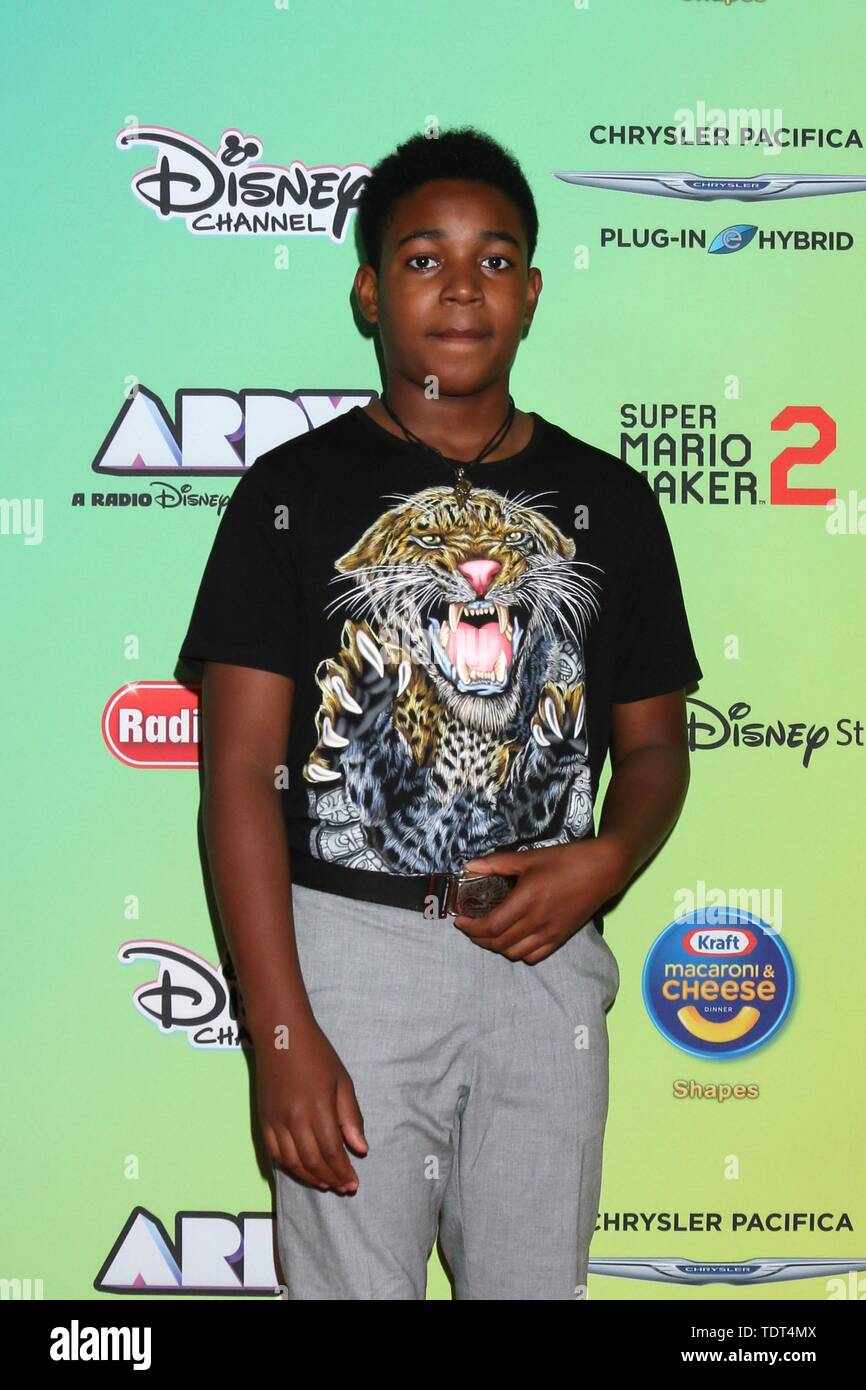 Los Angeles, CA, USA. 16th June, 2019. Issac Ryan Brown at arrivals for 2019 ARDYs (fka Radio Disney Music Awards), Studio City, Los Angeles, CA June 16, 2019. Credit: Priscilla Grant/Everett Collection/Alamy Live News Stock Photo