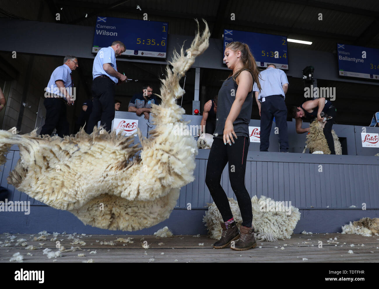 Sheep wool is tossed in the air during a young farmers sheep shearing ...