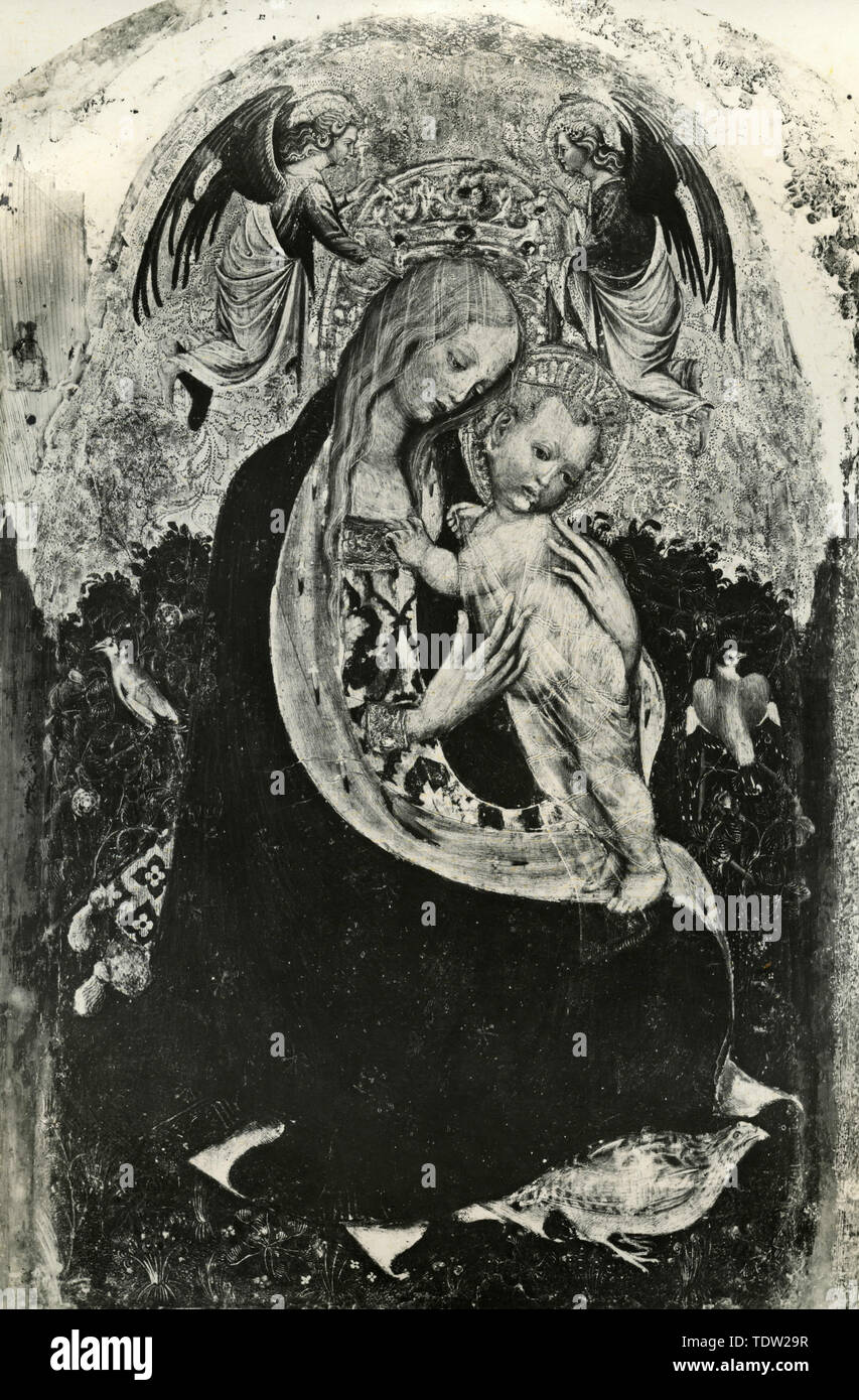 The Madonna of the Quail, painting by Antonio Pisano AKA Pisanello Stock Photo