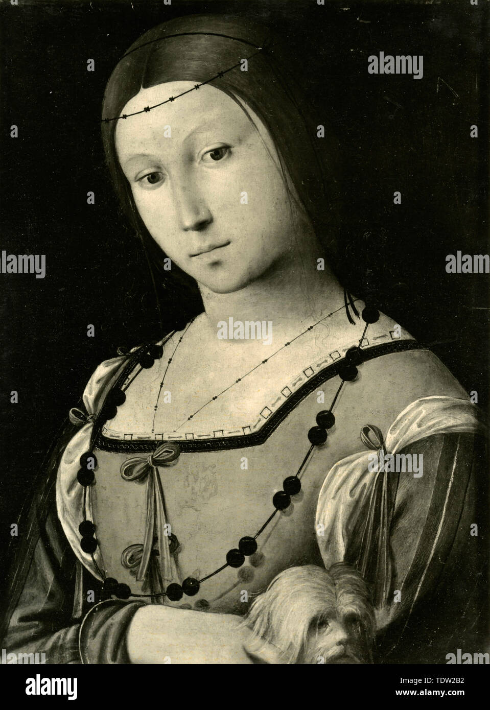 Portrait of Eleonora Gonzaga, painting by Lorenzo Costa Stock Photo Alamy