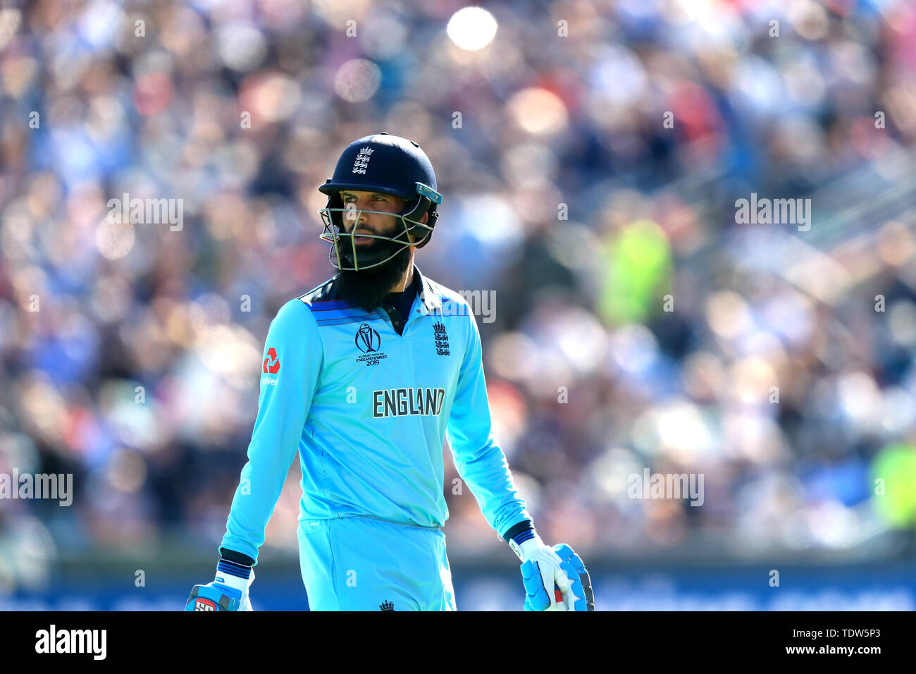 England's Moeen Ali walks off after being dismissed during the ICC Cricket World Cup group stage match at Headingley, Leeds. Stock Photo