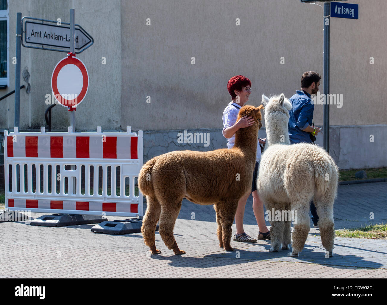Ducherow Germany 06th June 2019 In Front Of The Haus Der