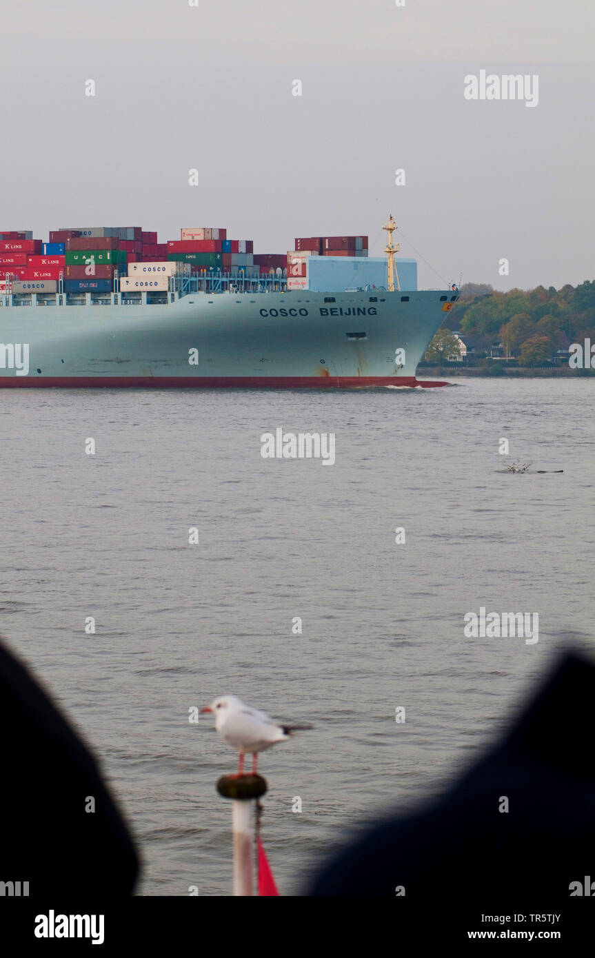 container vessel Cosco Beijing in the Port of Hamburg, Germany, Hamburg Stock Photo