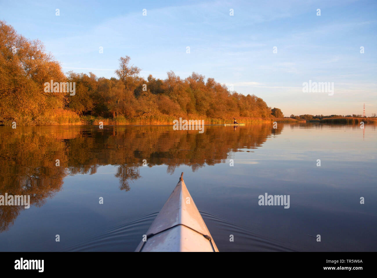 kayaking on Elbe river near Pagensand isle, Germany, Schleswig-Holstein, Elbe Stock Photo