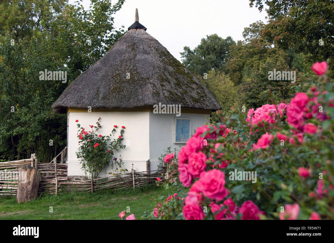 ducks' house at lake Schaalsee, Germany, Schleswig-Holstein, Gross Zecher Stock Photo