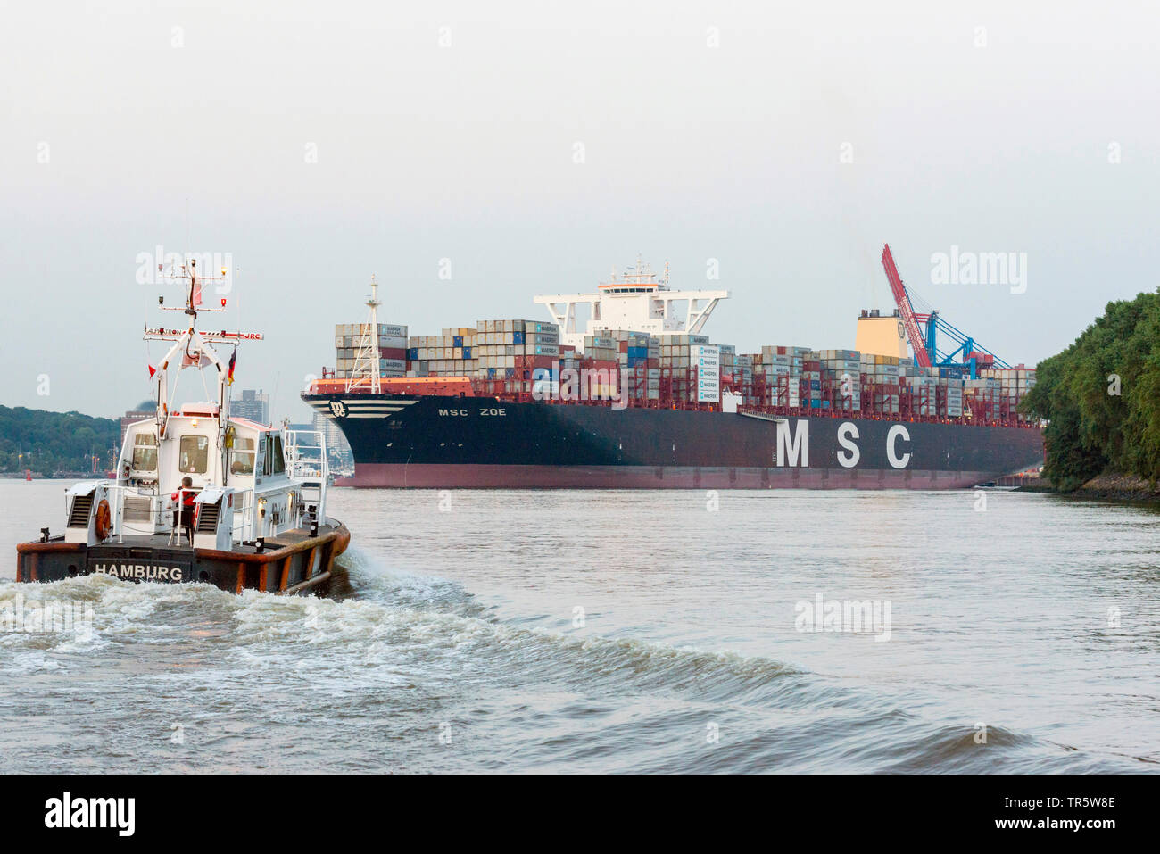 MSC Zoe, largest containership in the world, in the Port of Hamburg, Germany, Hamburg Stock Photo