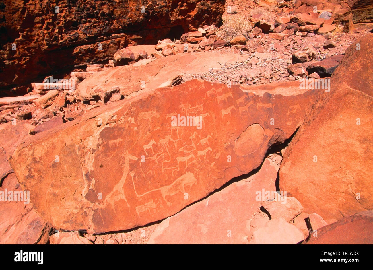 ancient rock engravings of Twyfelfontein, Namibia, Damaraland, Twyfelfontein Stock Photo