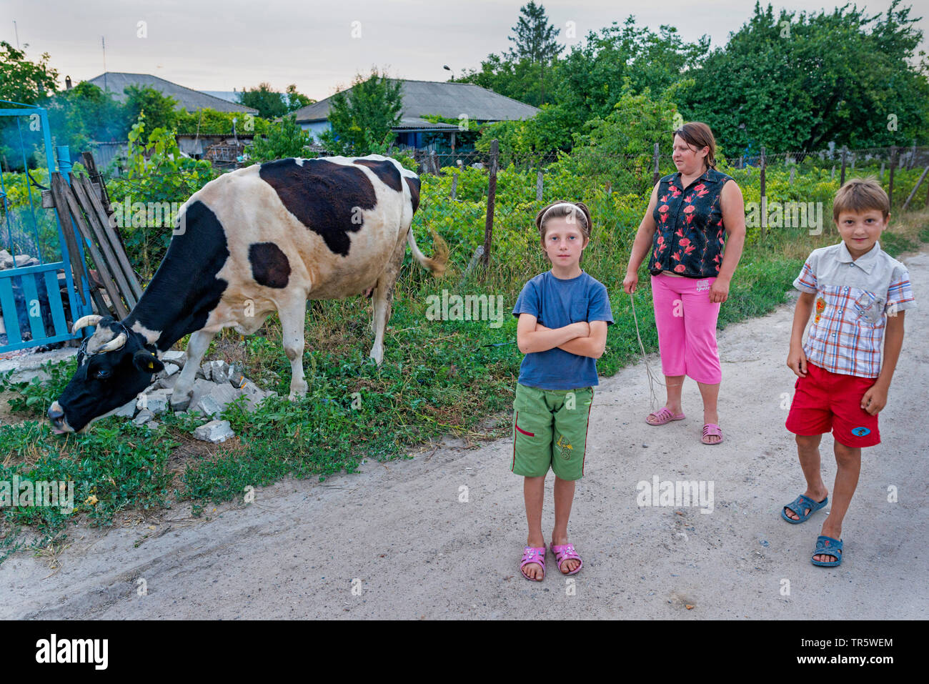 domestic cattle (Bos primigenius f. taurus), woman with her children and cattle on the village road, Moldova Stock Photo