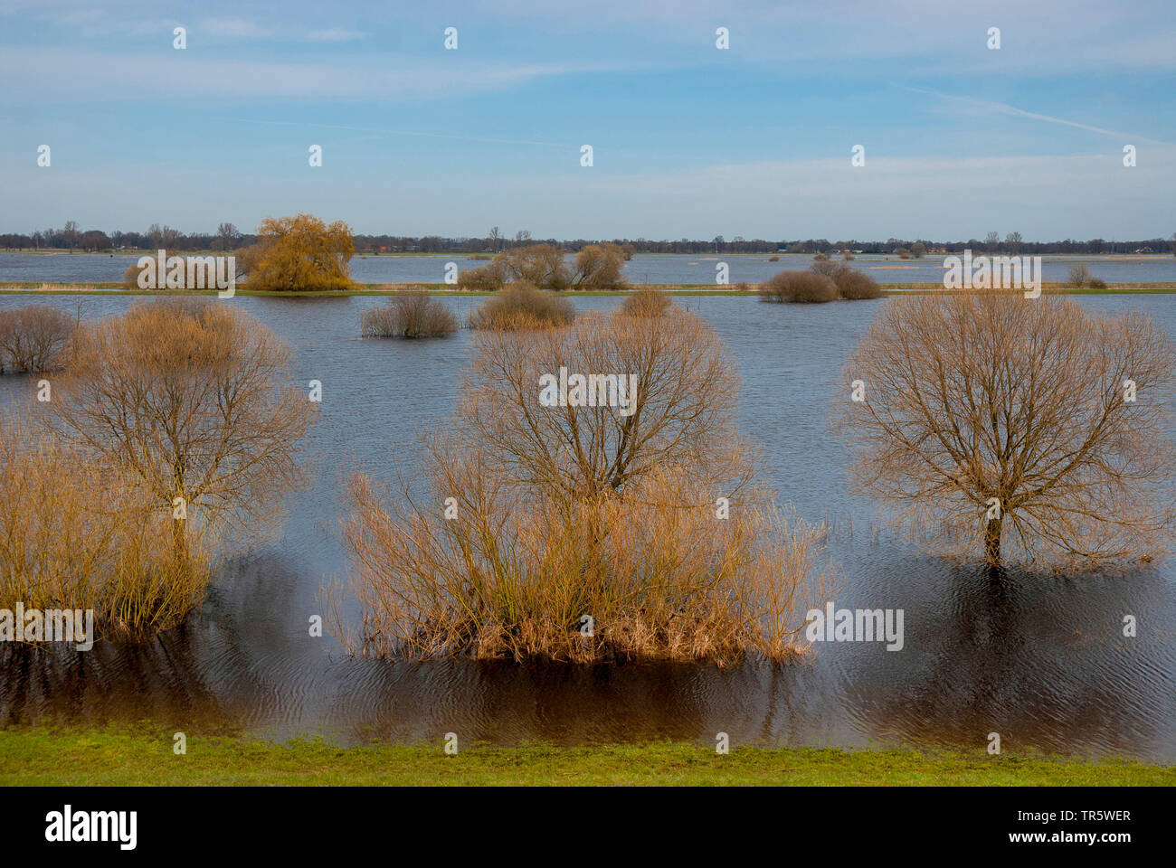 spring flood of Wuemme river, Germany, Lower Saxony Stock Photo