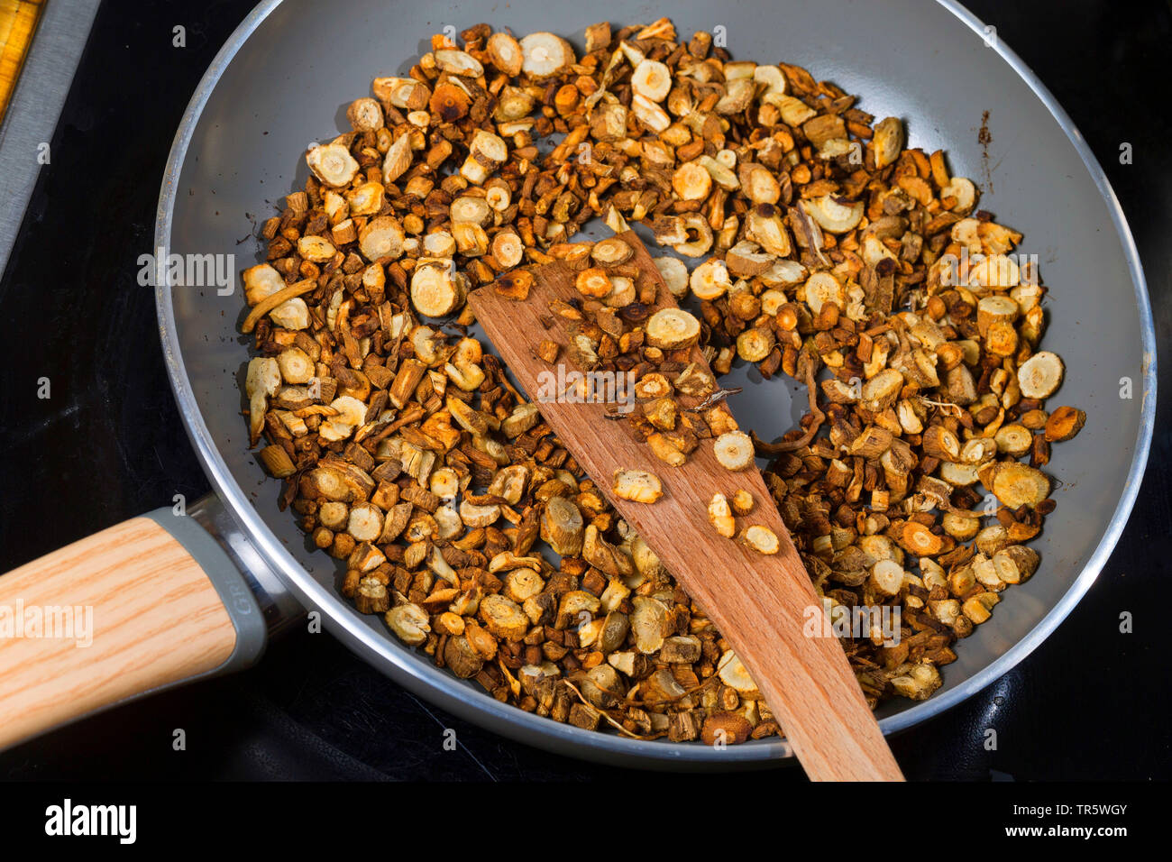 blue sailors, common chicory, wild succory (Cichorium intybus), roots slices are roasted in a pan, Germany Stock Photo