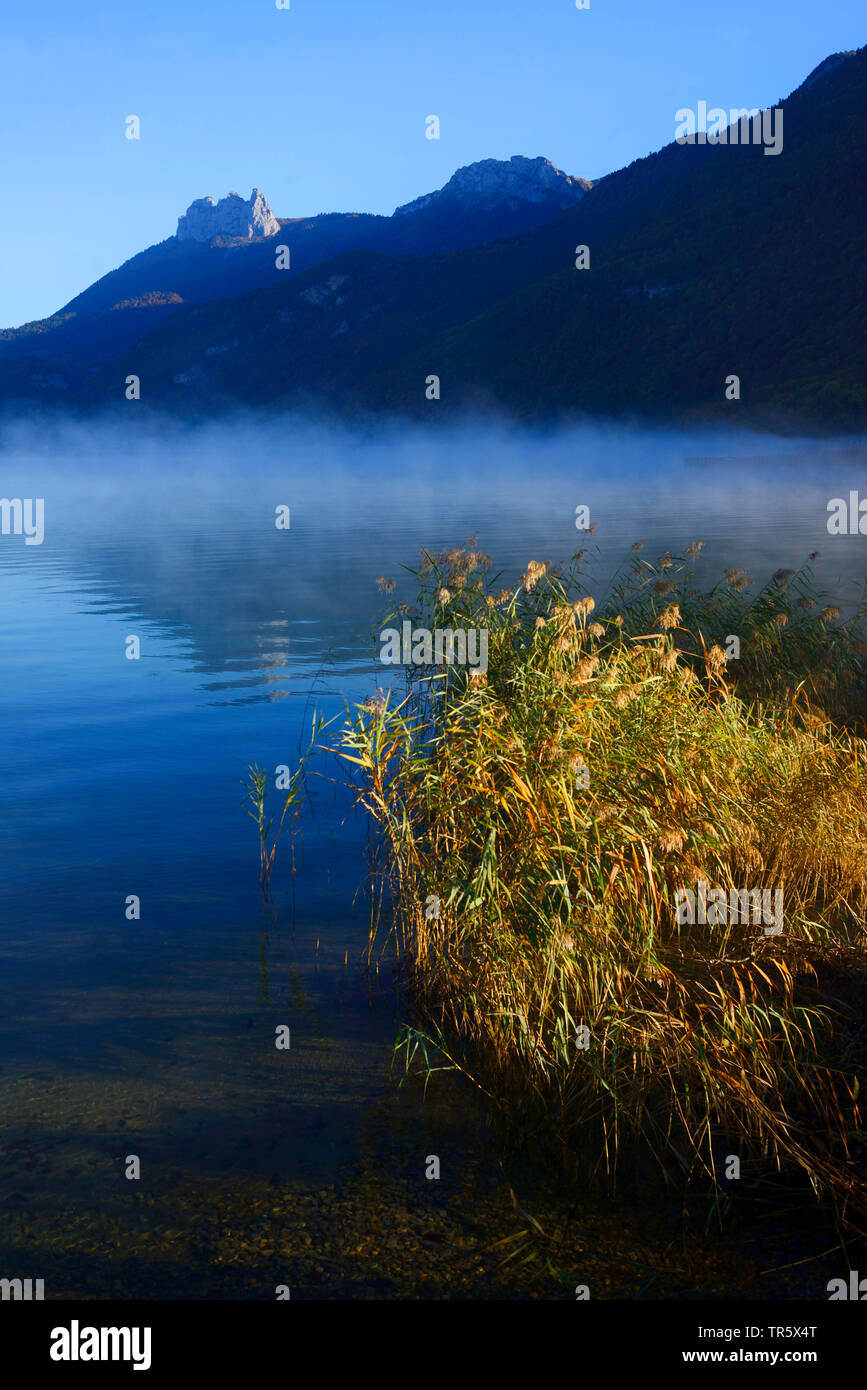 mist over the Lake Annecy, France, Savoie, Haute Savoie, Bout du Lac Stock Photo