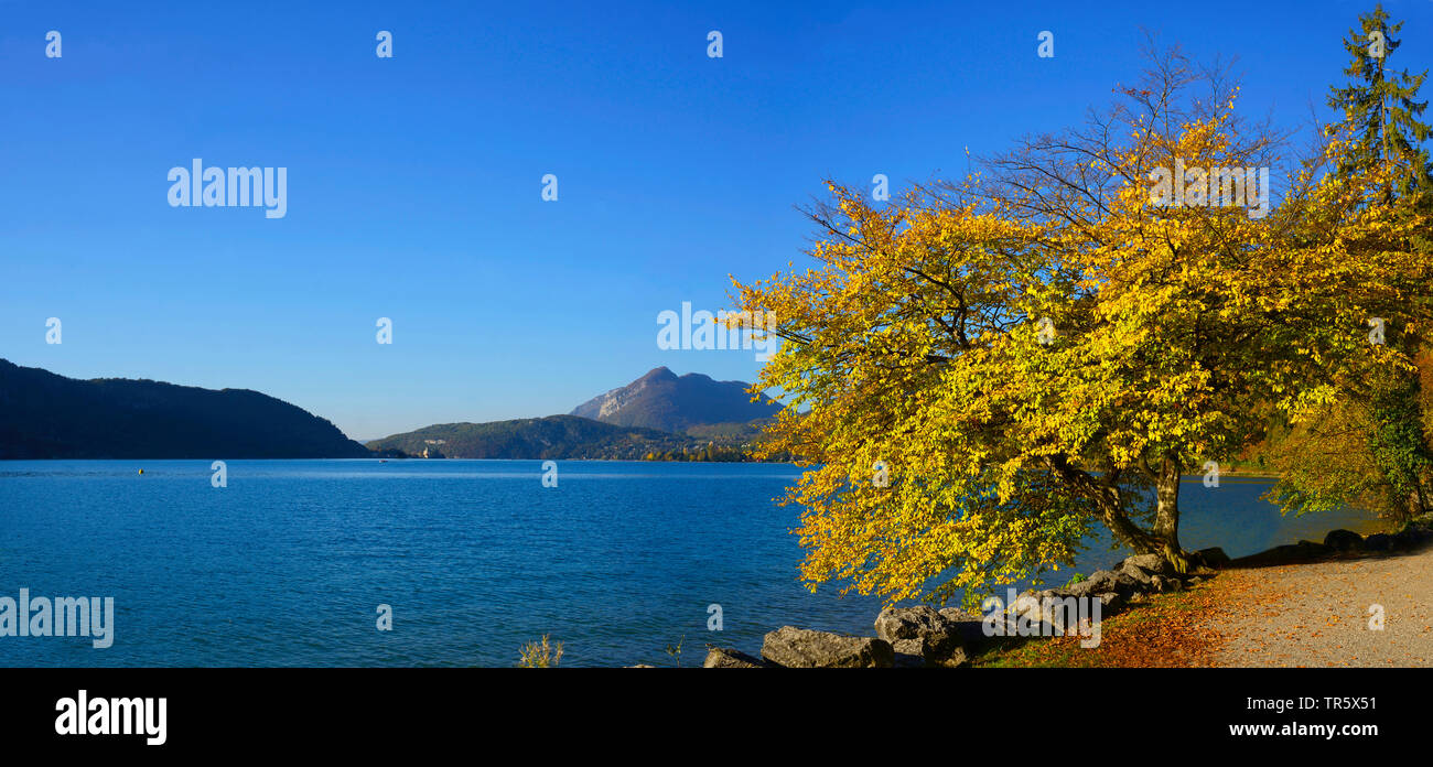autumn on the lake of Annecy, France, Savoie, Haute Savoie Stock Photo