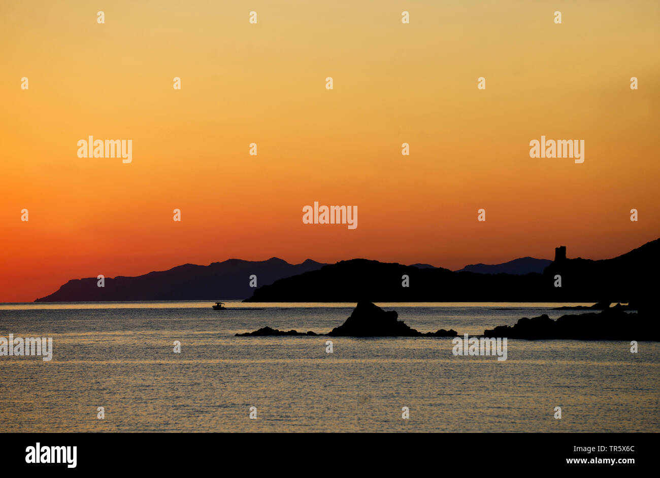 coast with Genoese tower in morning, France, Corsica, Barcaggio Stock Photo