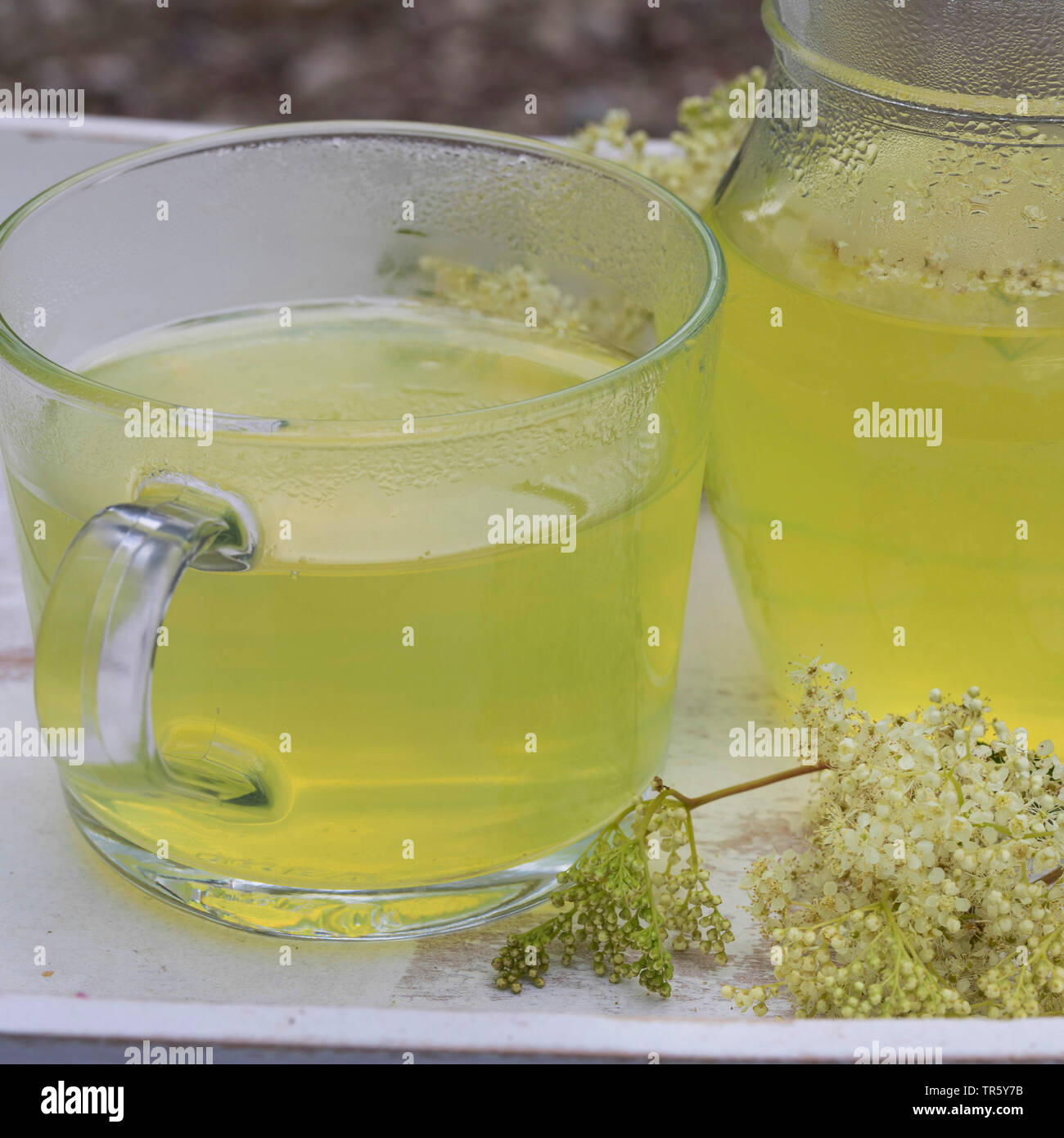 Queen drinks tea hires stock photography and images Alamy