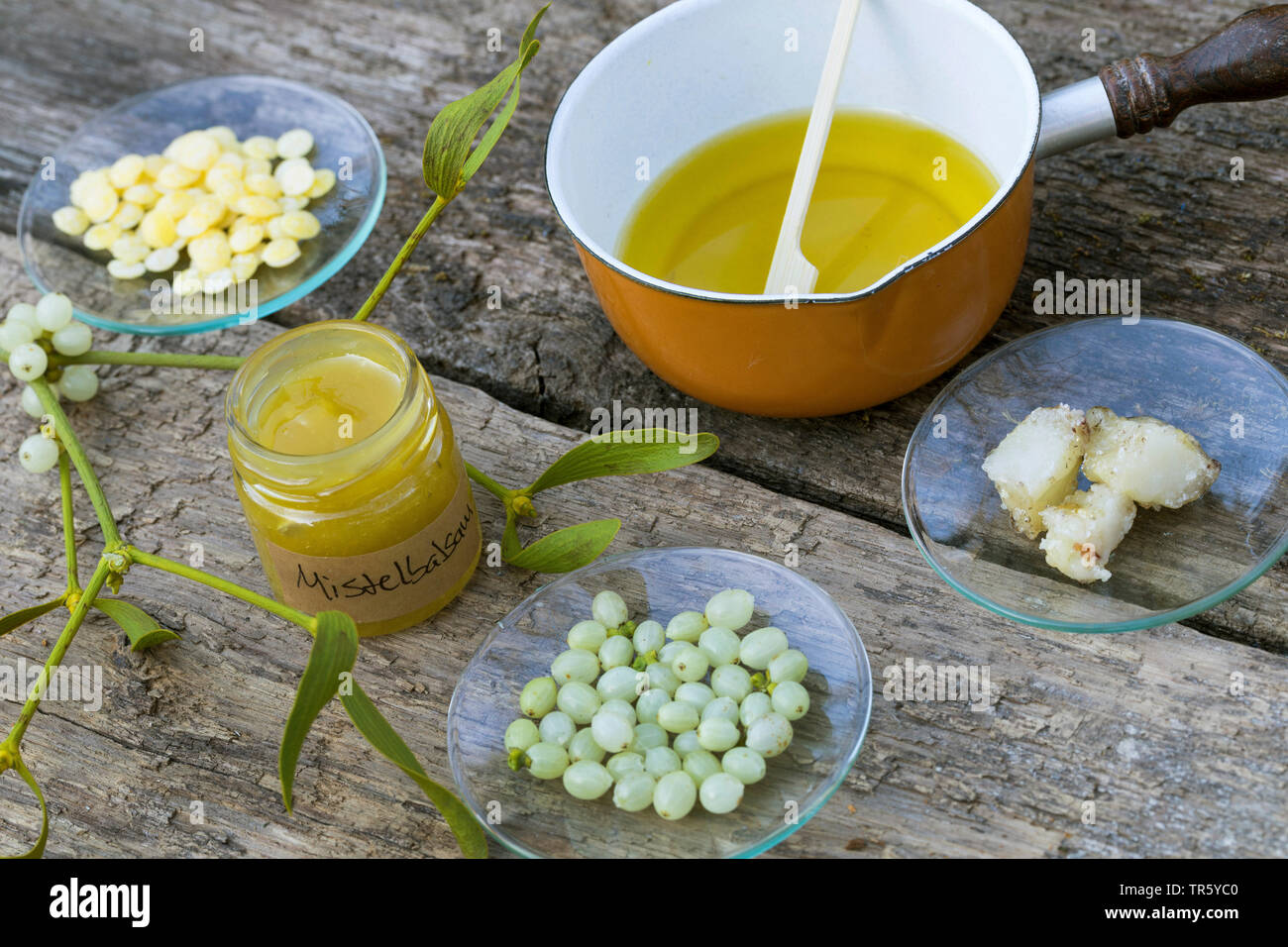 mistletoe (Viscum album subsp. album, Viscum album), selfmade balm of , Germany Stock Photo