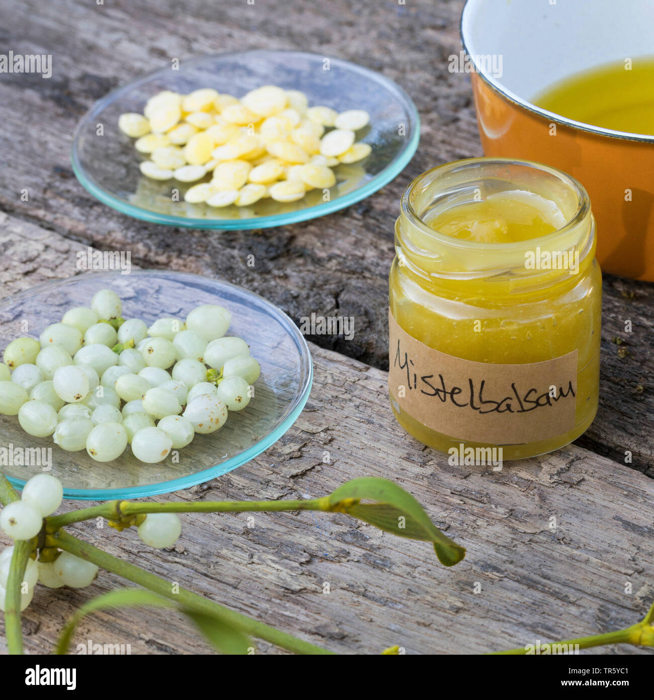 mistletoe (Viscum album subsp. album, Viscum album), selfmade balm of , Germany Stock Photo