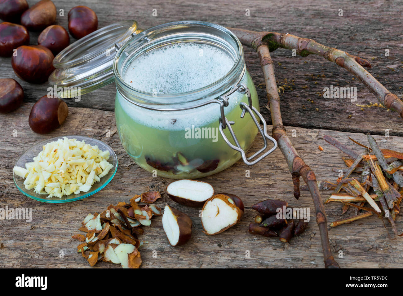 common horse chestnut (Aesculus hippocastanum), selfmade horse chestnut tincture, Germany Stock Photo