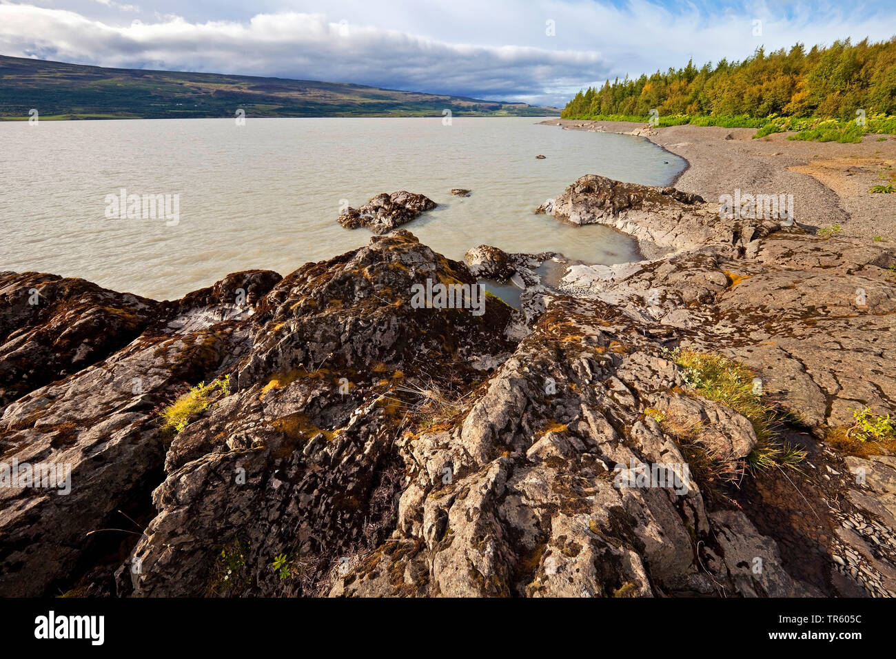 Lagarfljot lake hi-res stock photography and images - Alamy