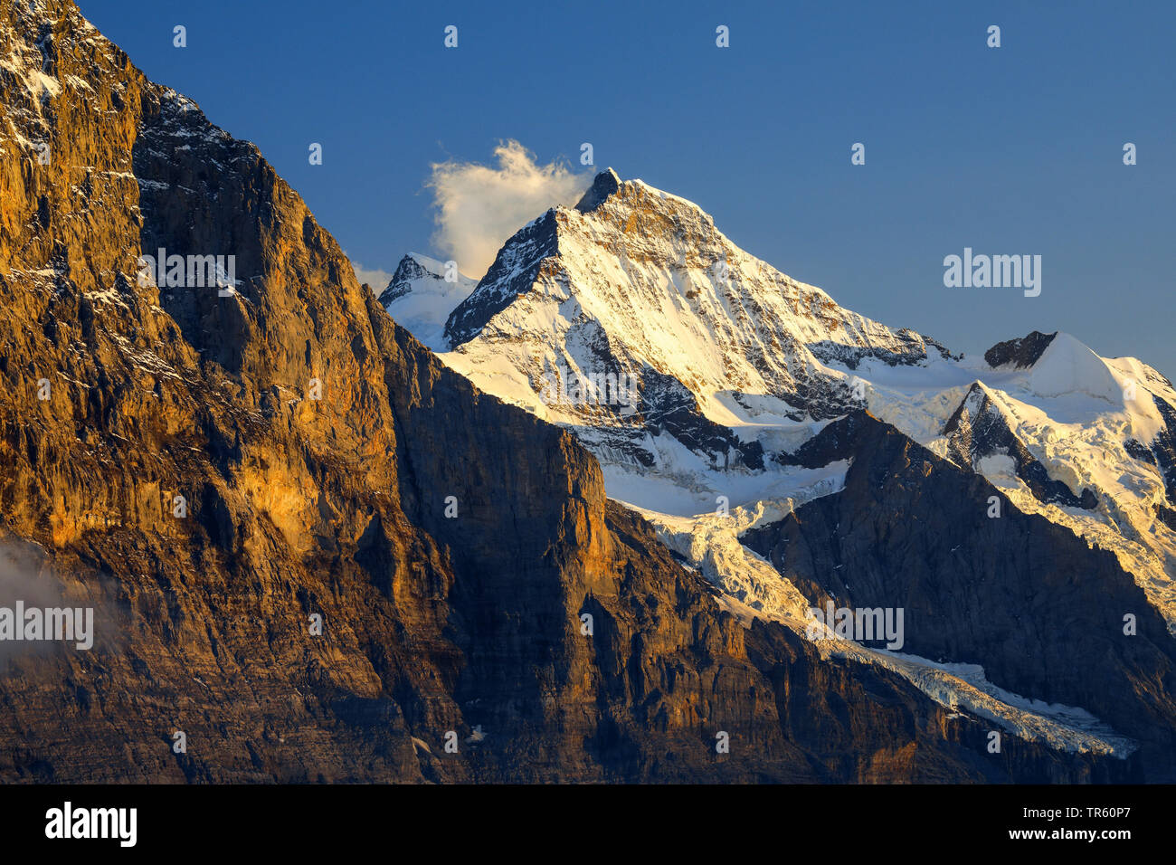 view from First to mountains Eiger, Moench and Jungfrau, Switzerland ...