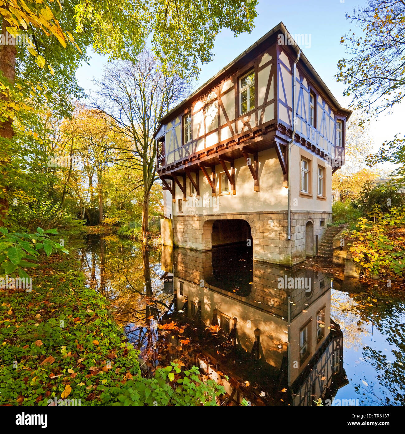 Eller castle, boat house in autumn, Germany, North Rhine-Westphalia, Duesseldorf Stock Photo