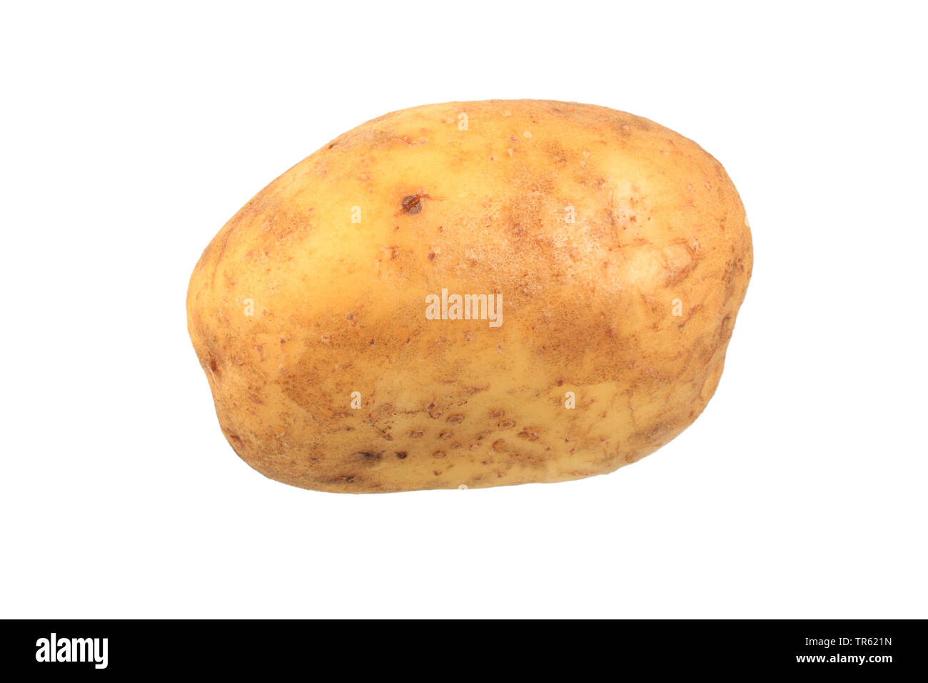 potato (Solanum tuberosum Solara), potato of cultivar Solara, cutout Stock Photo