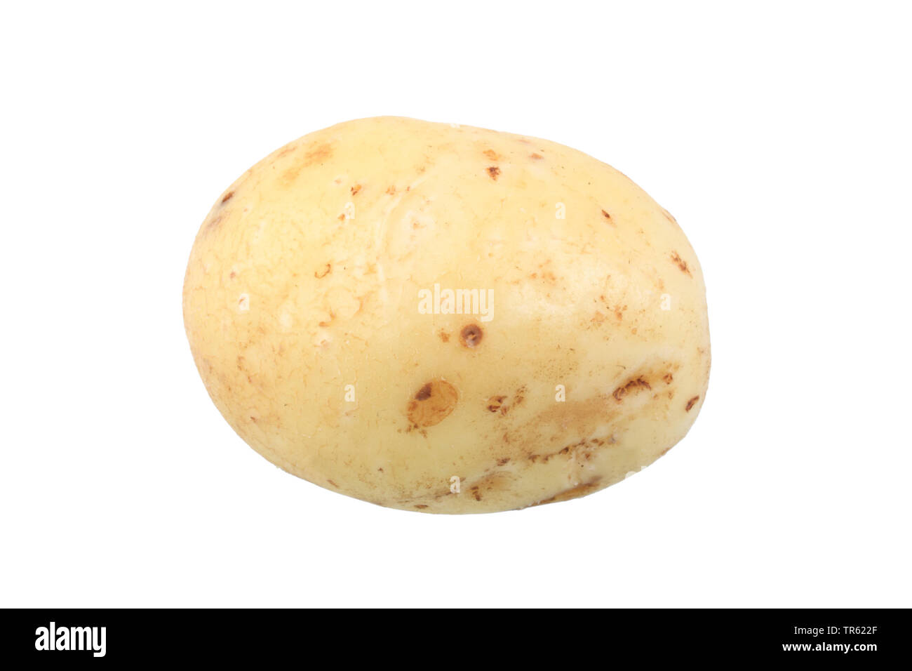 potato (Solanum tuberosum Prinzen), potato of cultivar Prinzen, cutout Stock Photo