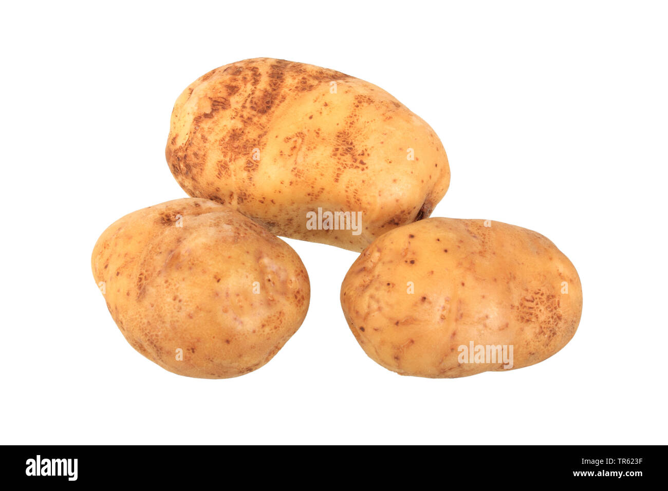 potato (Solanum tuberosum Industrie), potatoes of cultivar Industrie, cutout Stock Photo