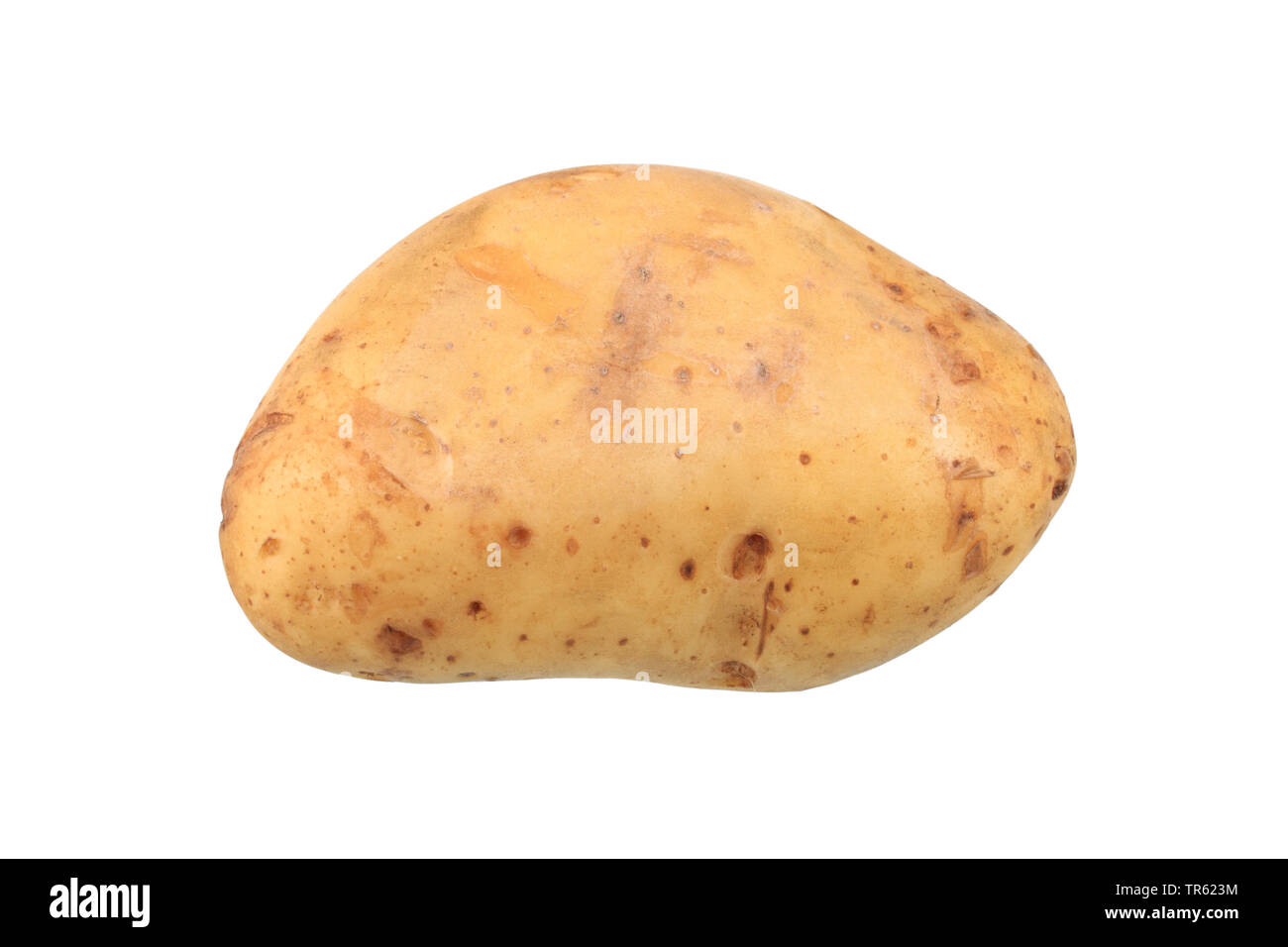 potato (Solanum tuberosum Heidi), potato of cultivar Heidi, cutout Stock Photo