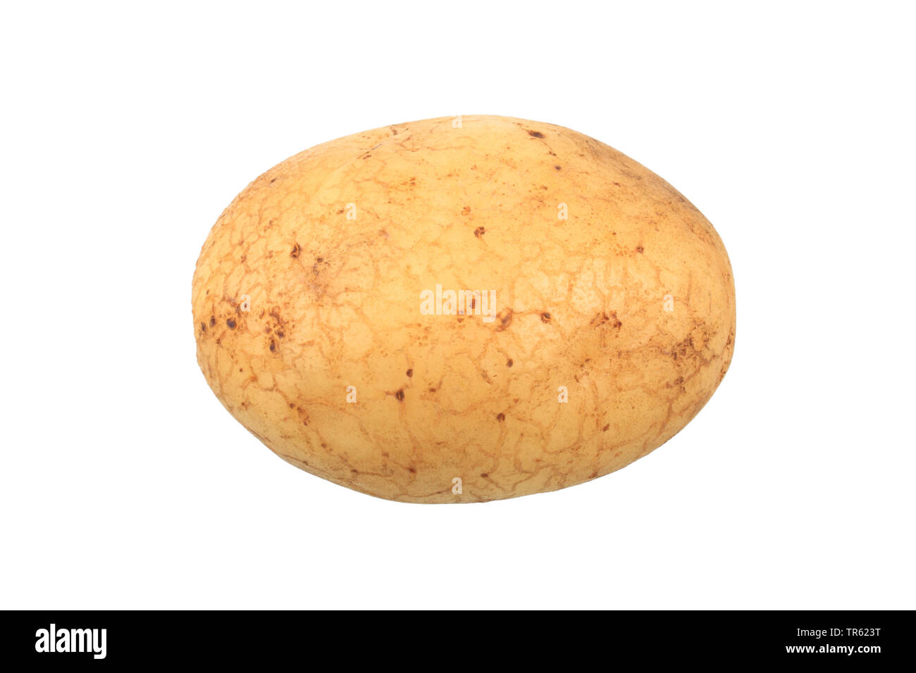 potato (Solanum tuberosum Grata), potato of cultivar Grata, cutout Stock Photo