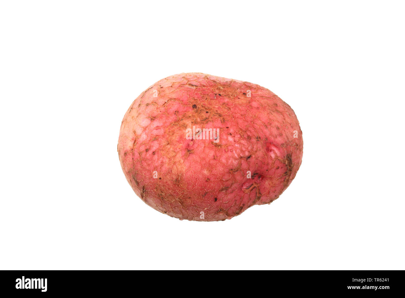potato (Solanum tuberosum Desiree), potato of cultivar Desiree, cutout Stock Photo