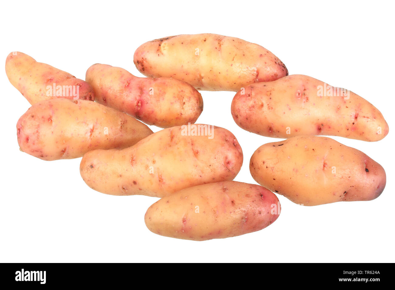 knstliche fingerngel kurz Ellie Vincy Press-on-Ngel  Kurze Sarg-French-Tip