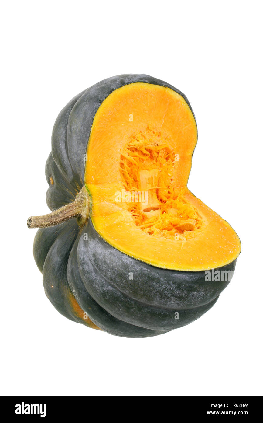 winter squash