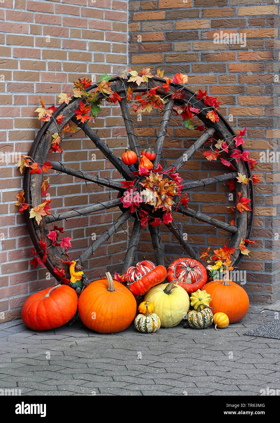 Fall car sale decorations