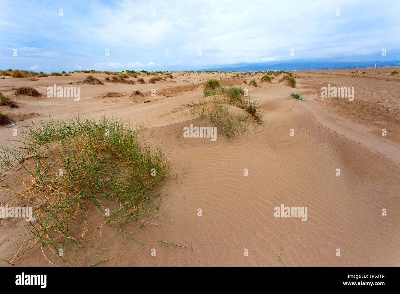 Dunes of Punta del Fangar, Ebro River Delta, Deltebre, Costa Daurada, Spain, Katalonia Stock Photo