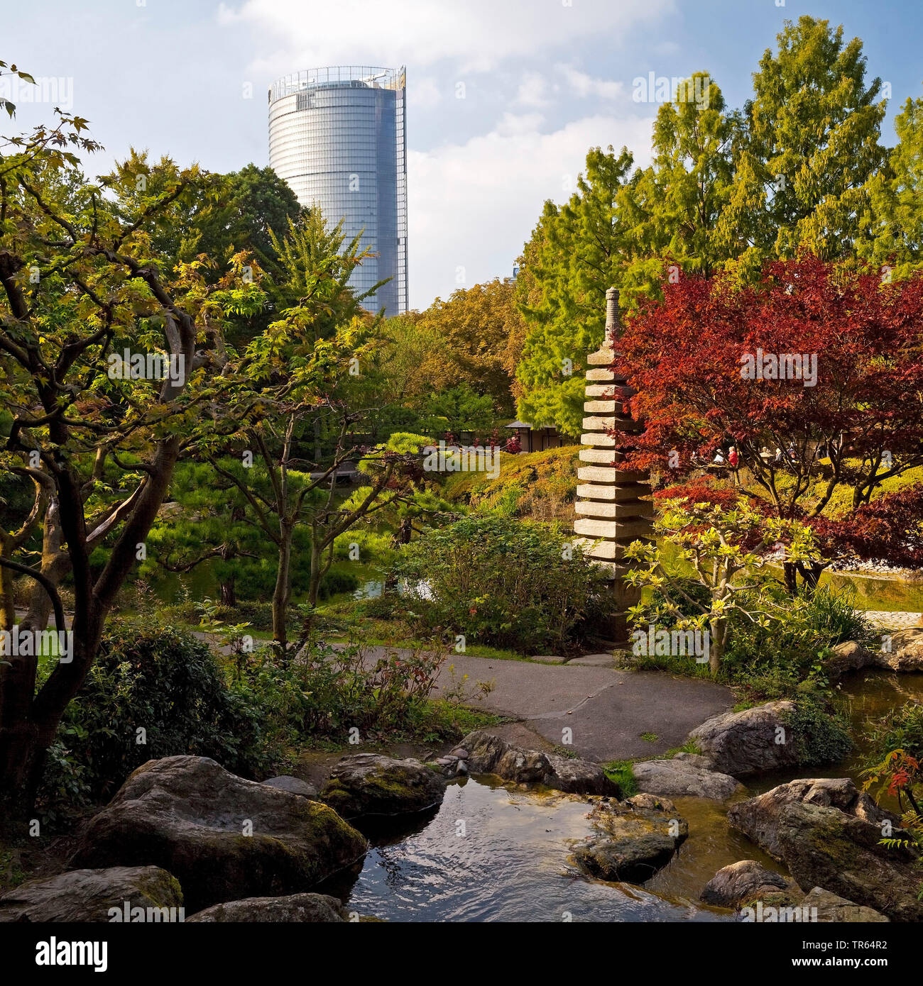 japanese garden and Post Tower, Rheinaue, Germany, North Rhine-Westphalia, Bonn Stock Photo