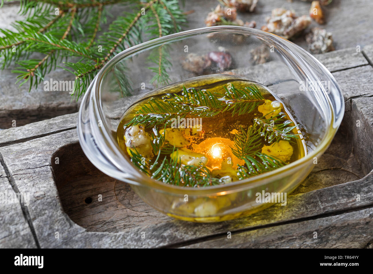 healing ointment made from liquid pitch spruce twigs and bee wax, Germany Stock Photo