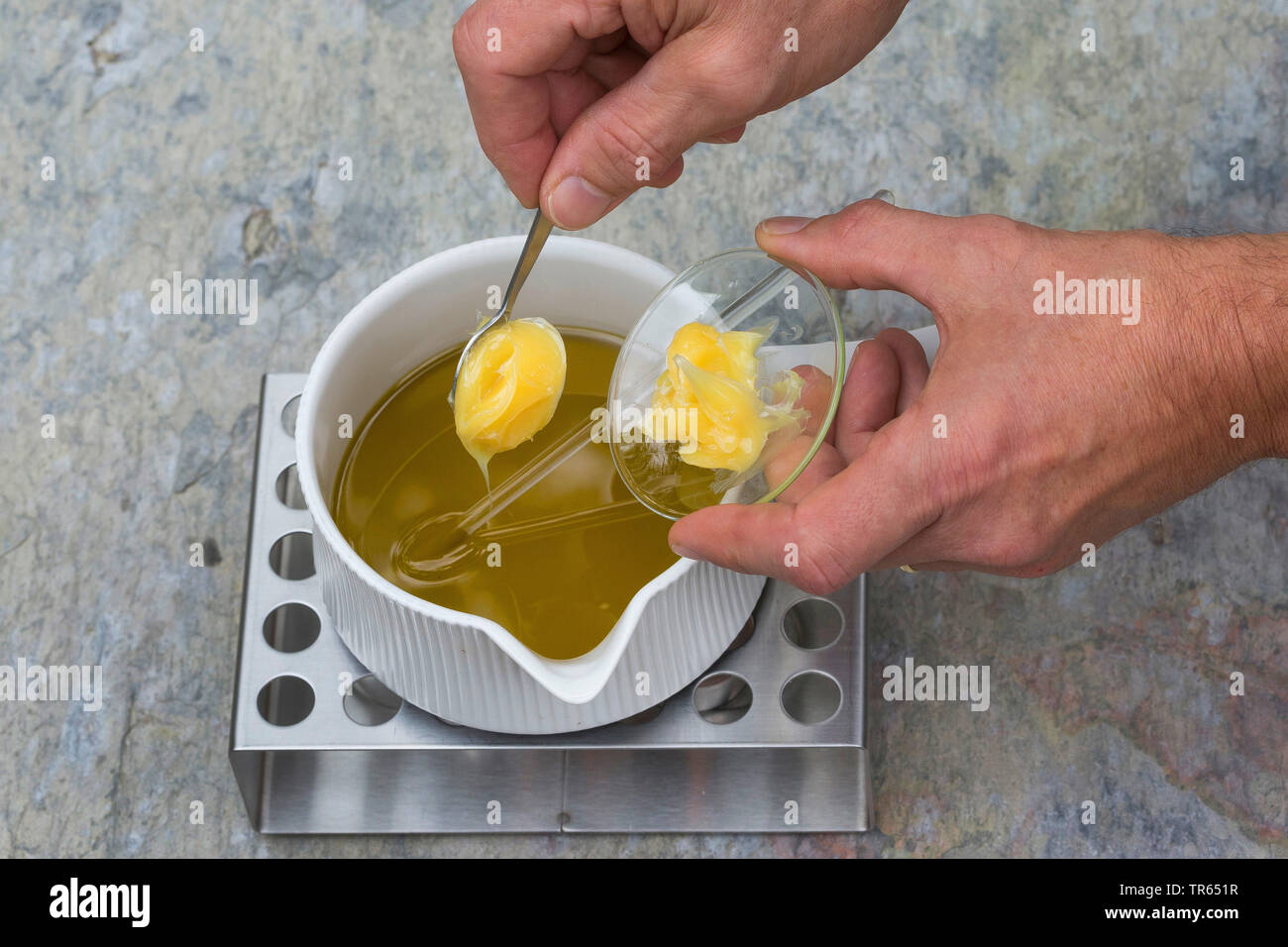 common evening primrose (Oenothera biennis), production of evening primrose cream, 3 step: lanolin is added to the oil in a pot on a warmer, series picture 3/10, Germany Stock Photo