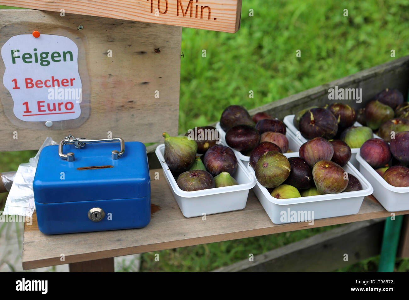 fig (Ficus carica), figs on self-service sell at a farmhouse, Italy, South Tyrol, Meran Stock Photo
