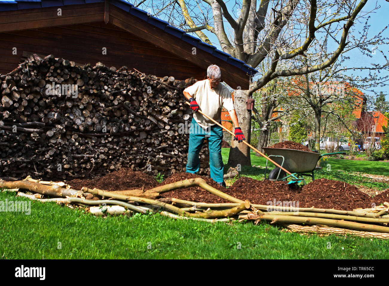 man working in a garden, wood stack, mount of bark mulch and barrow, Germany, North Rhine-Westphalia Stock Photo