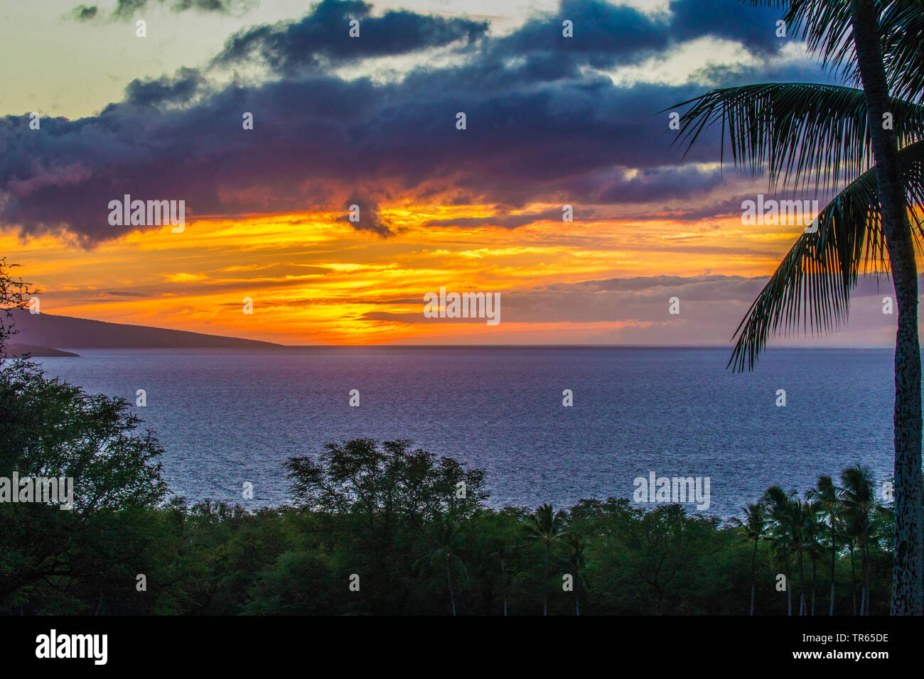 sunset next to island Kaho'olawe, USA, Hawaii, Wailea Golf Club, Kihei Stock Photo