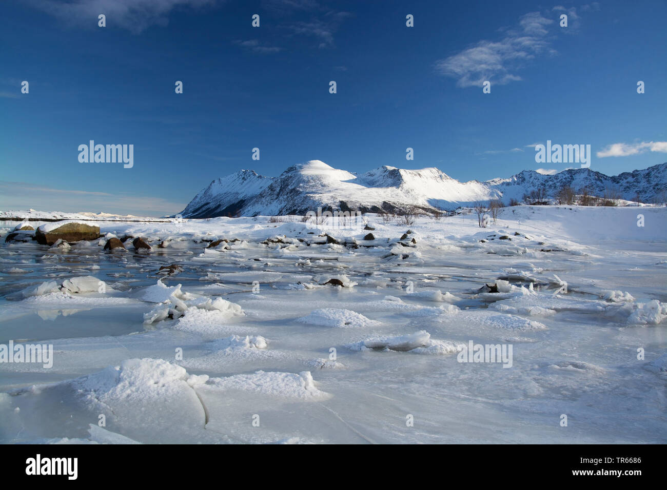 ice surface near Leknes on the Lofoten in winter, Norway, Lofoten Islands, Leknes Stock Photo