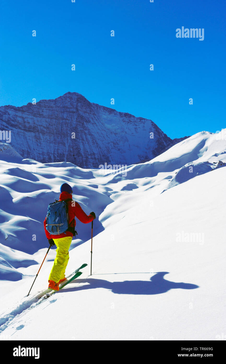 ski touring in the Alps, Grande Casse in background, France, Savoie, Vanoise National Park, Tignes Stock Photo